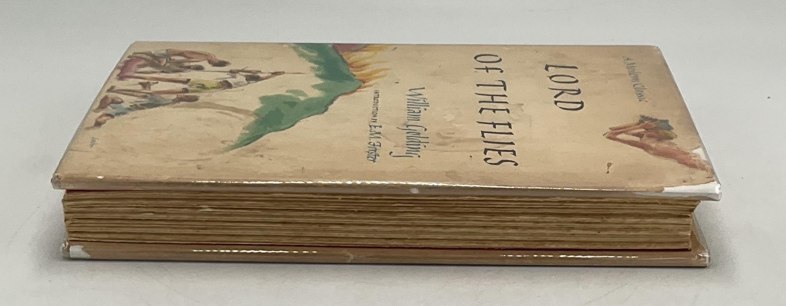 Vintage Lord Of The Flies William Golding Coward-McCann HC Tan DJ 1962 USA