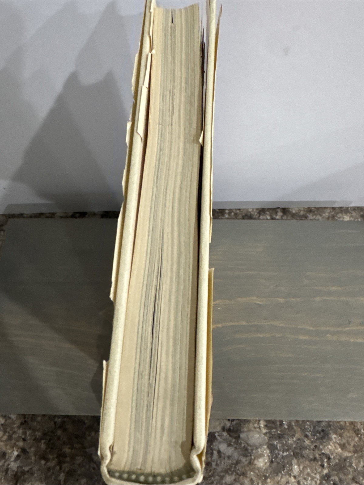 Euclid Beach Park Hardcover Amusement Park Books Inc 1977 Closed For The Season