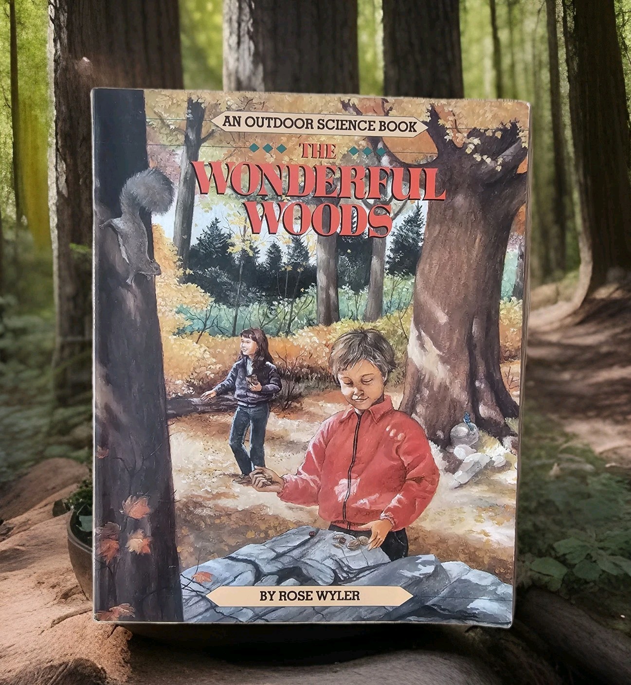 Wonderful Woods by Rose Wyler (1990, Trade Paperback)