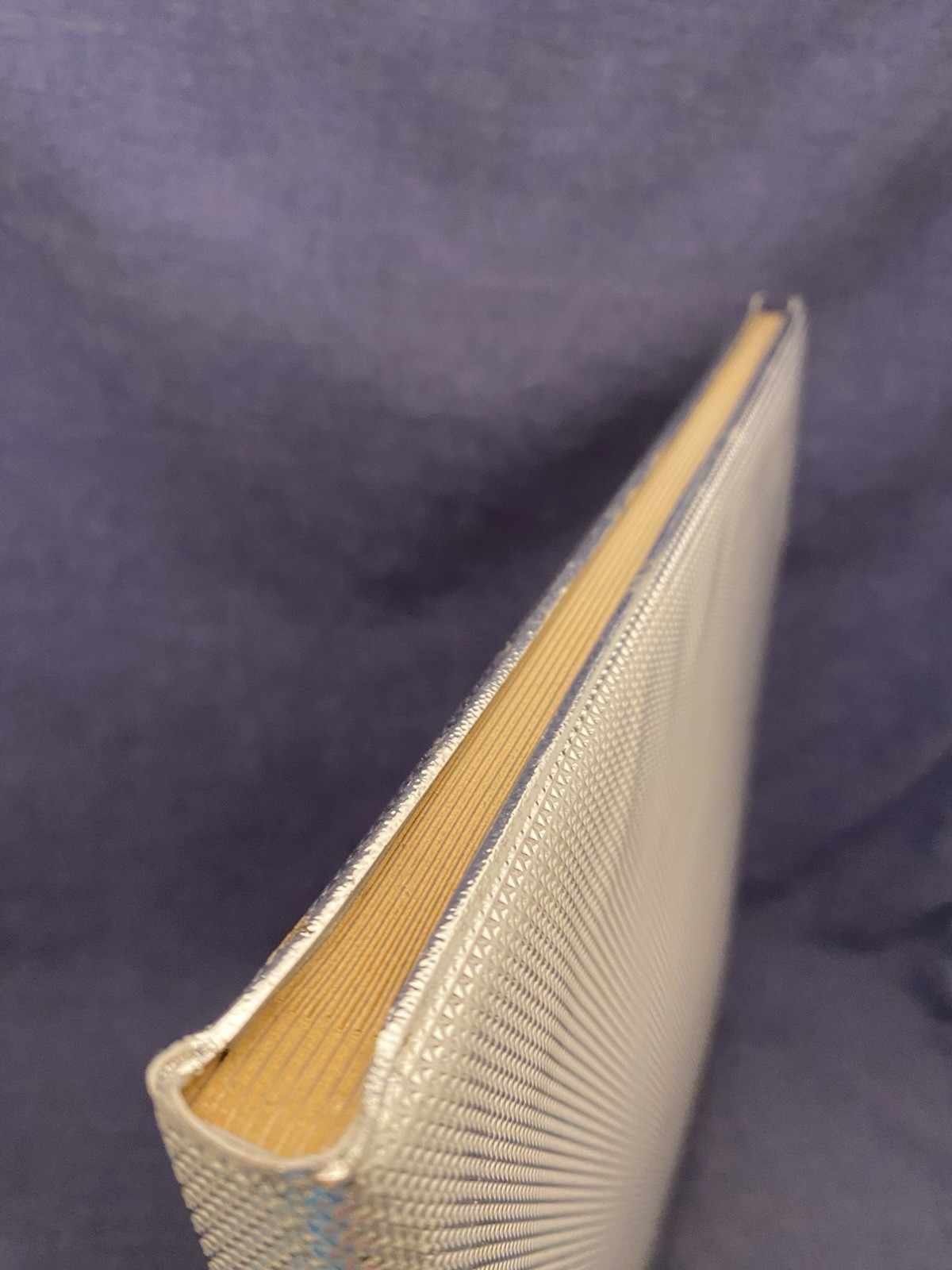 Silver Port No Ring Vintage Photo Album Silverport Book 16 pages 10×12