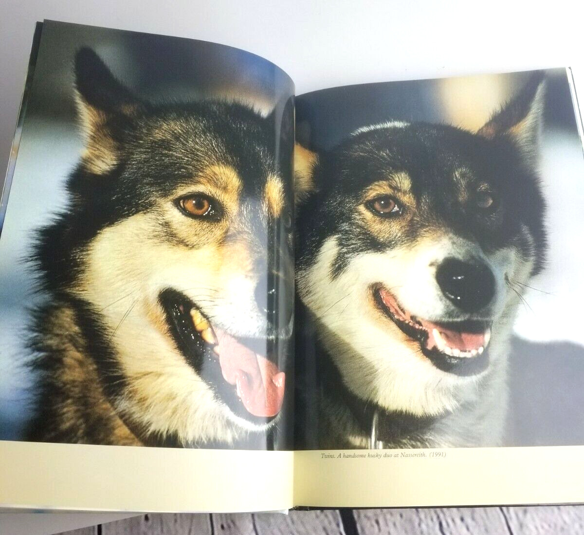 Huskies In Action By Rico Pfirstinger Husky Sled Dog Photography Non Fiction
