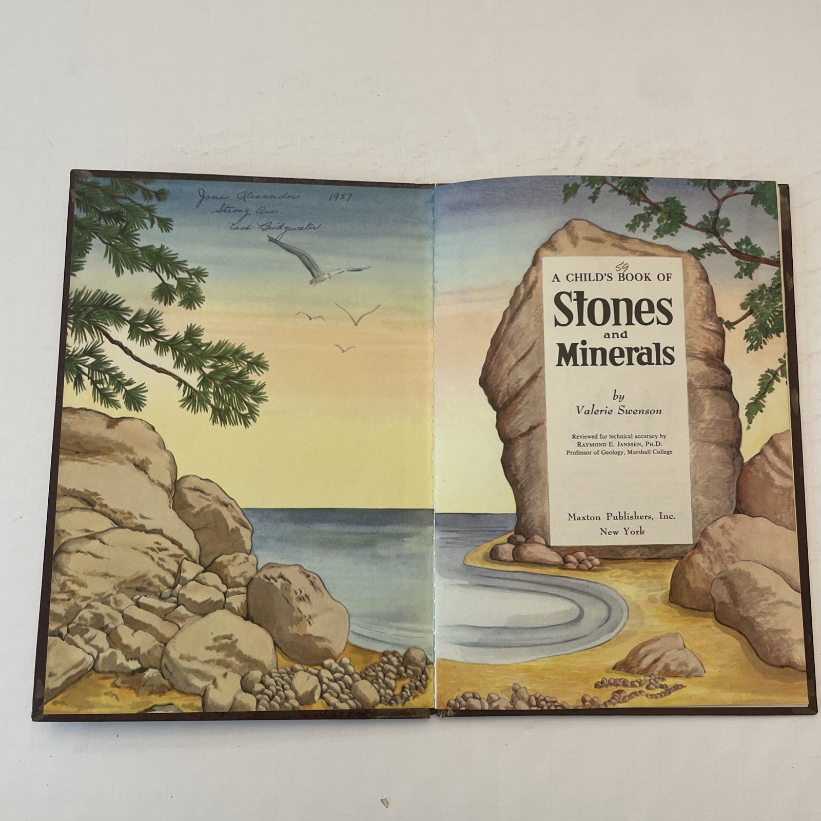 * Vintage Lot 6 A Child’s Book Of Stones Stars Animals Rovers Trees Sea Shells