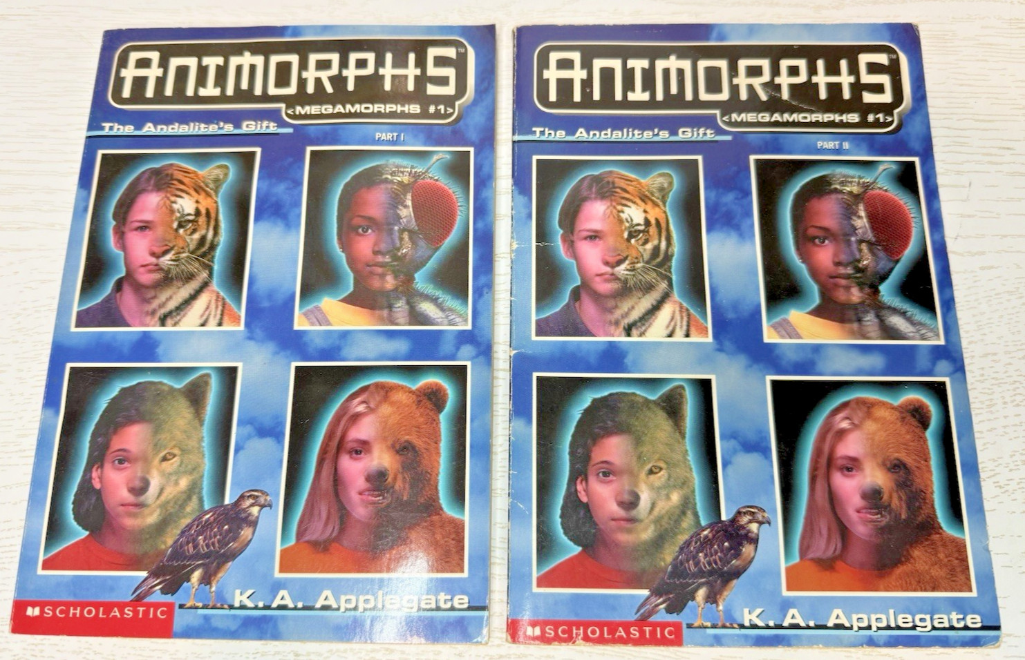 22 PC ANIMORPHS MEGAMORPHS ANDALITE CHRONICLES PAPERBACK BOOKS LOT APPLEGATE (K)