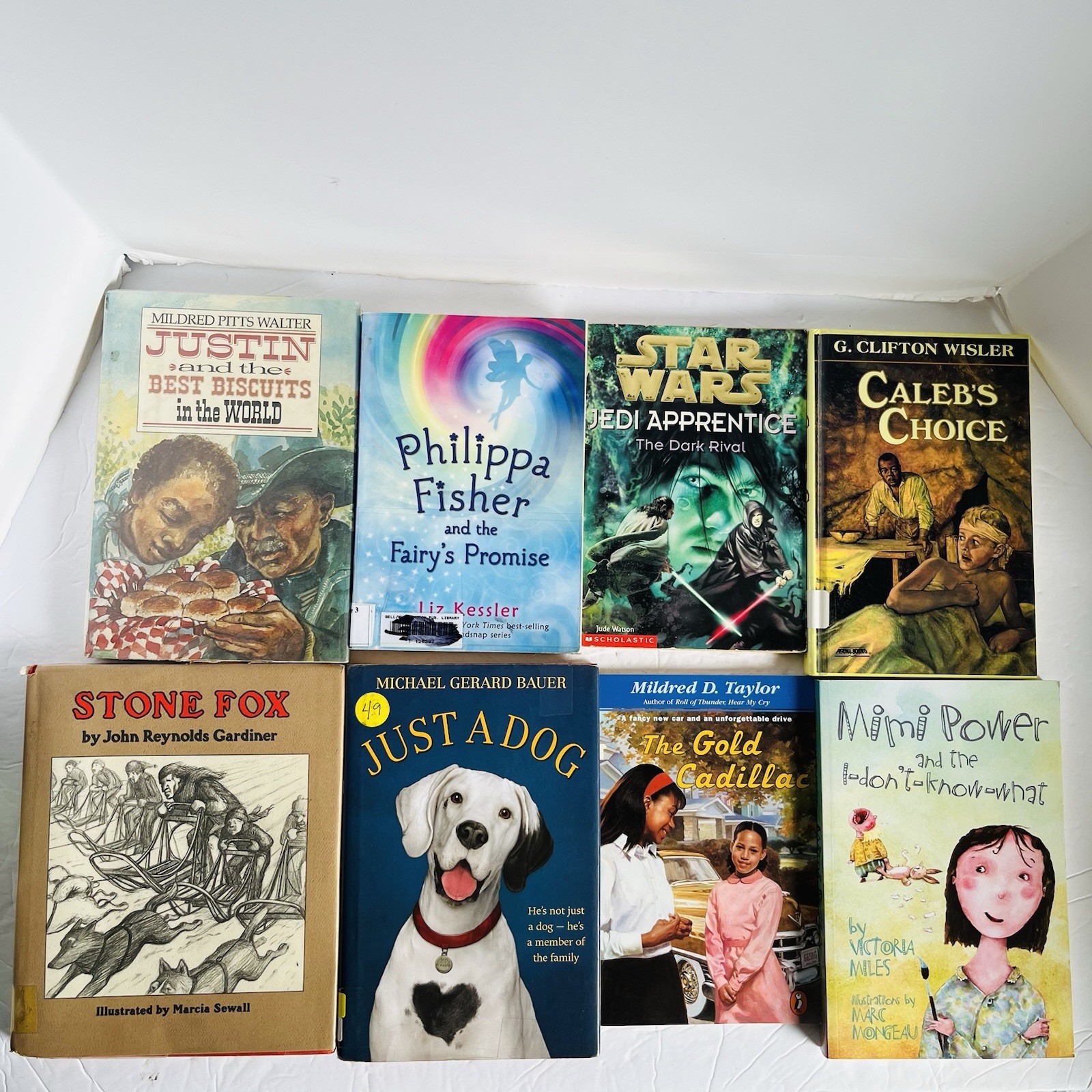 Lot of 10 Random 4th grade Children’s Kids Chapter Book Some series Elementary