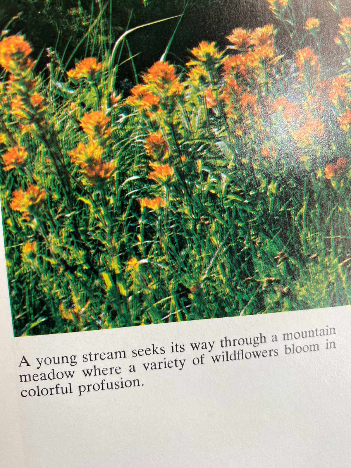 The Cascade Range by Ray Atkeson HC DJ 1969