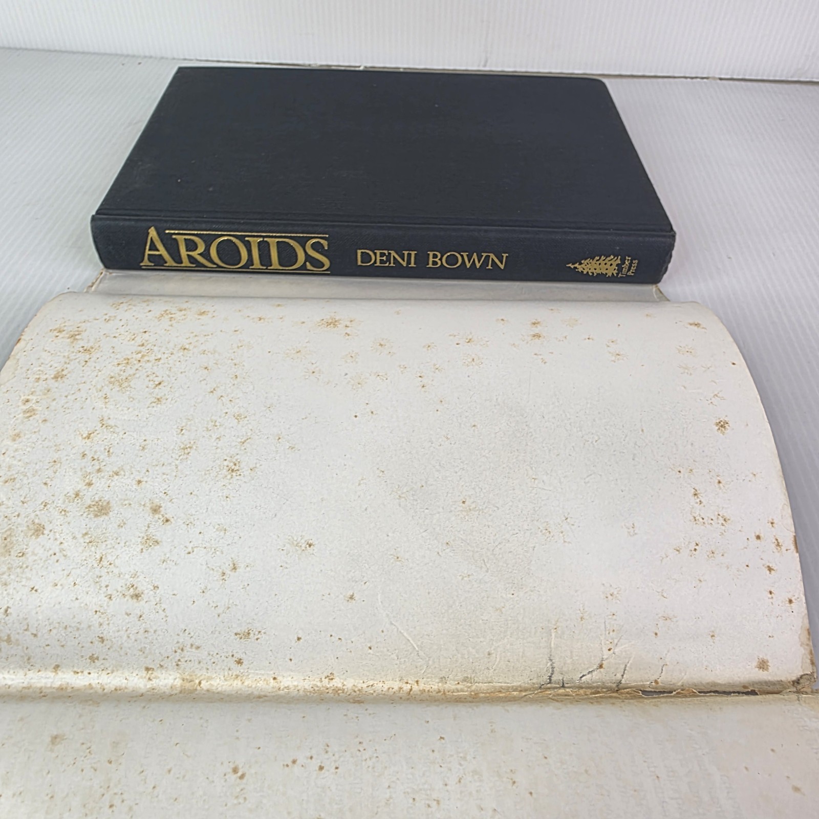 Aroids : Plants of the Arum Family by Deni Bown (2000, Hardcover)
