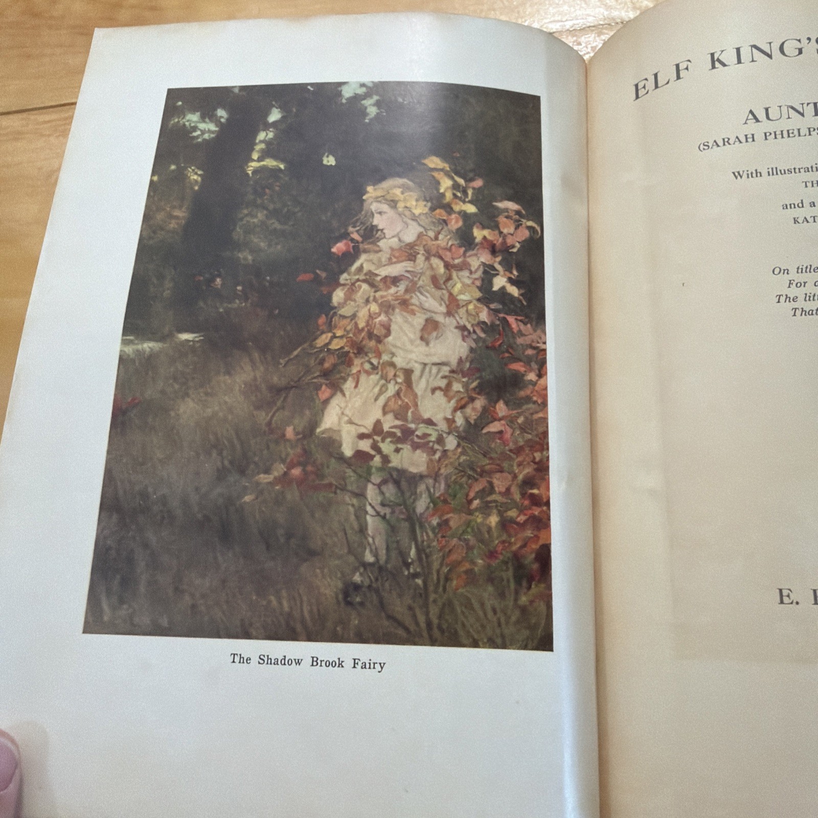 Elf King’s Flowers by Aunt Sadie, 52 Poems 1924