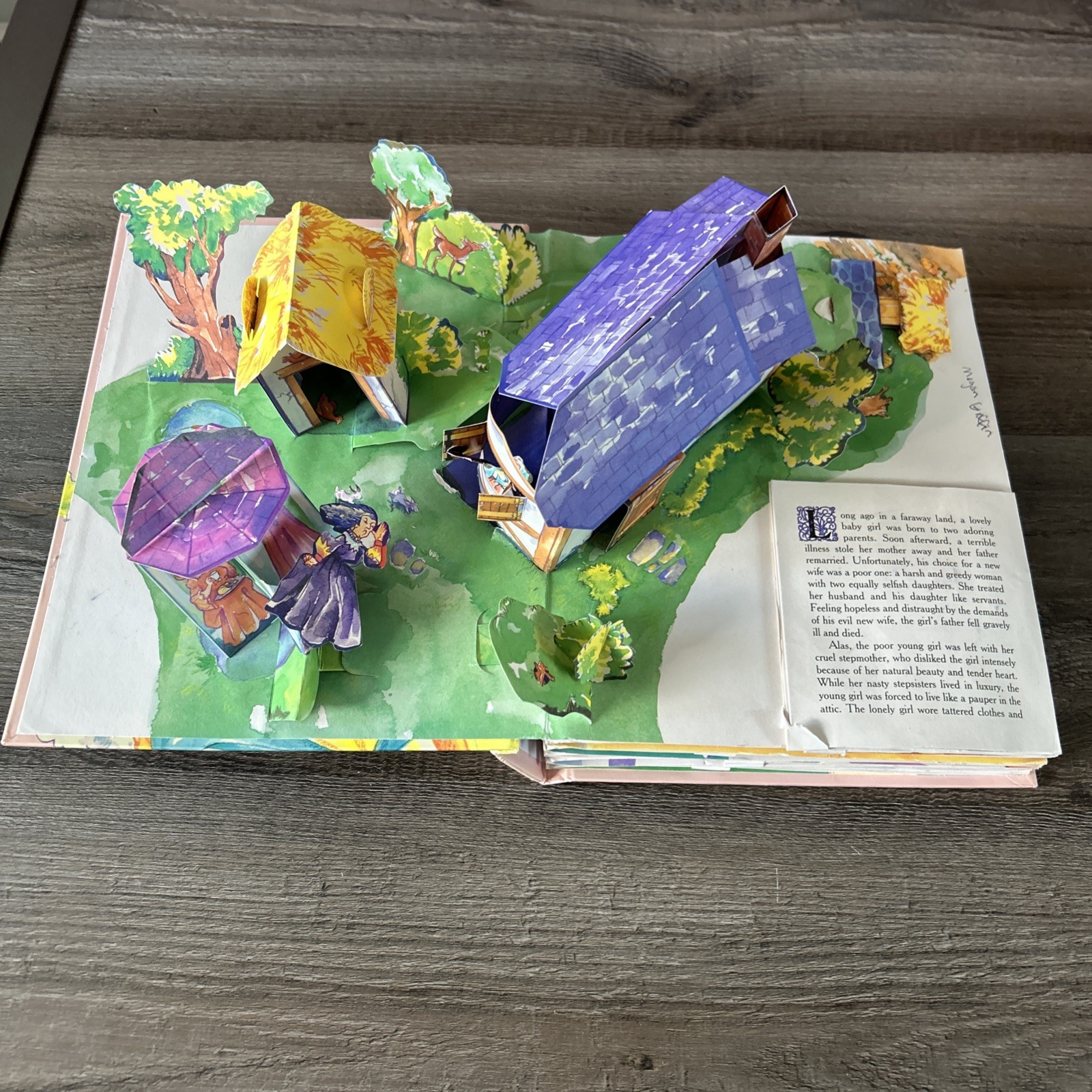 Cinderella : A Pop-Up Fairy Tale by Matthew Reinhart (2005, Novelty Book)