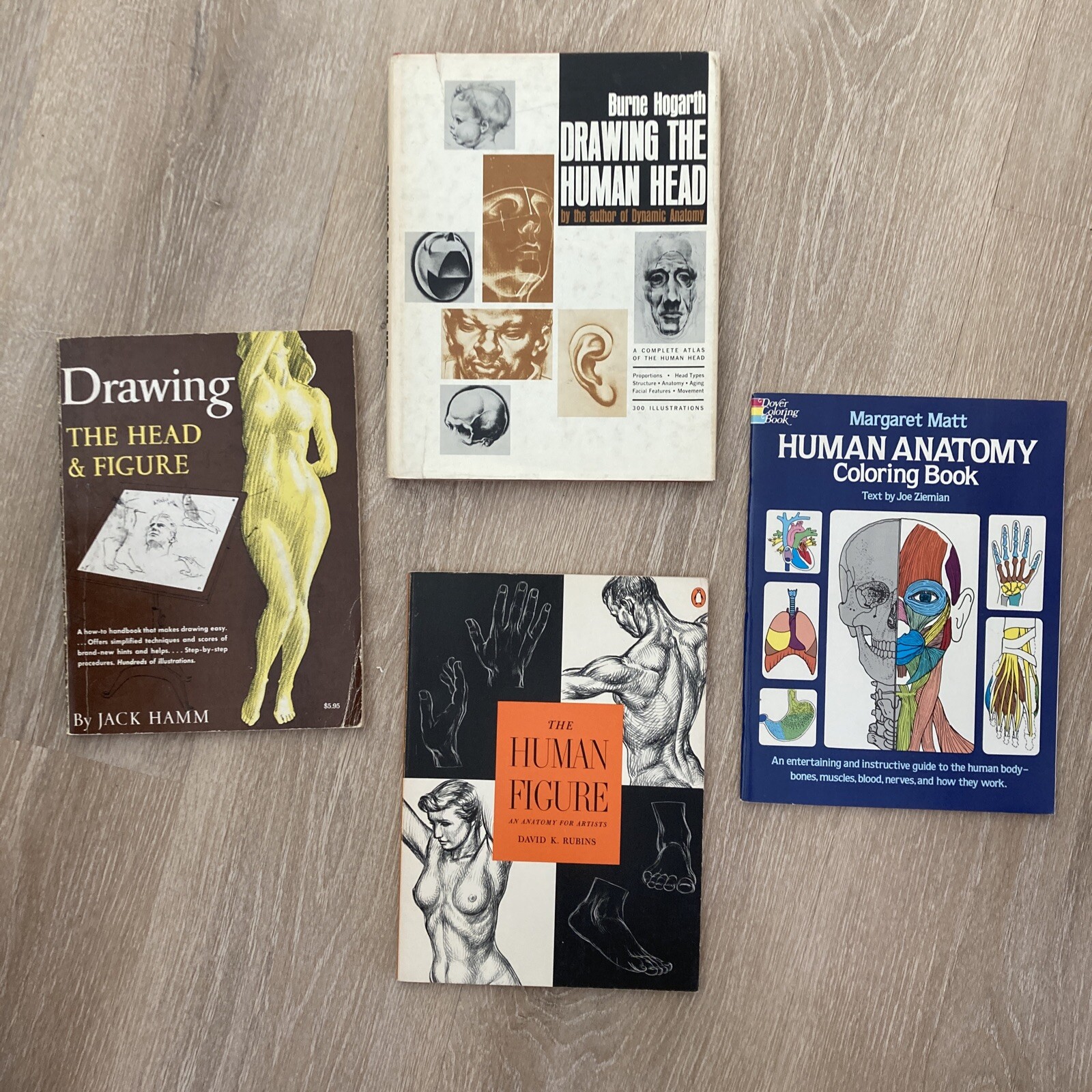 Drawing Book Lot: Head & Figure, Anatomy, The Human Head, Burne Hogarth, VG Cond
