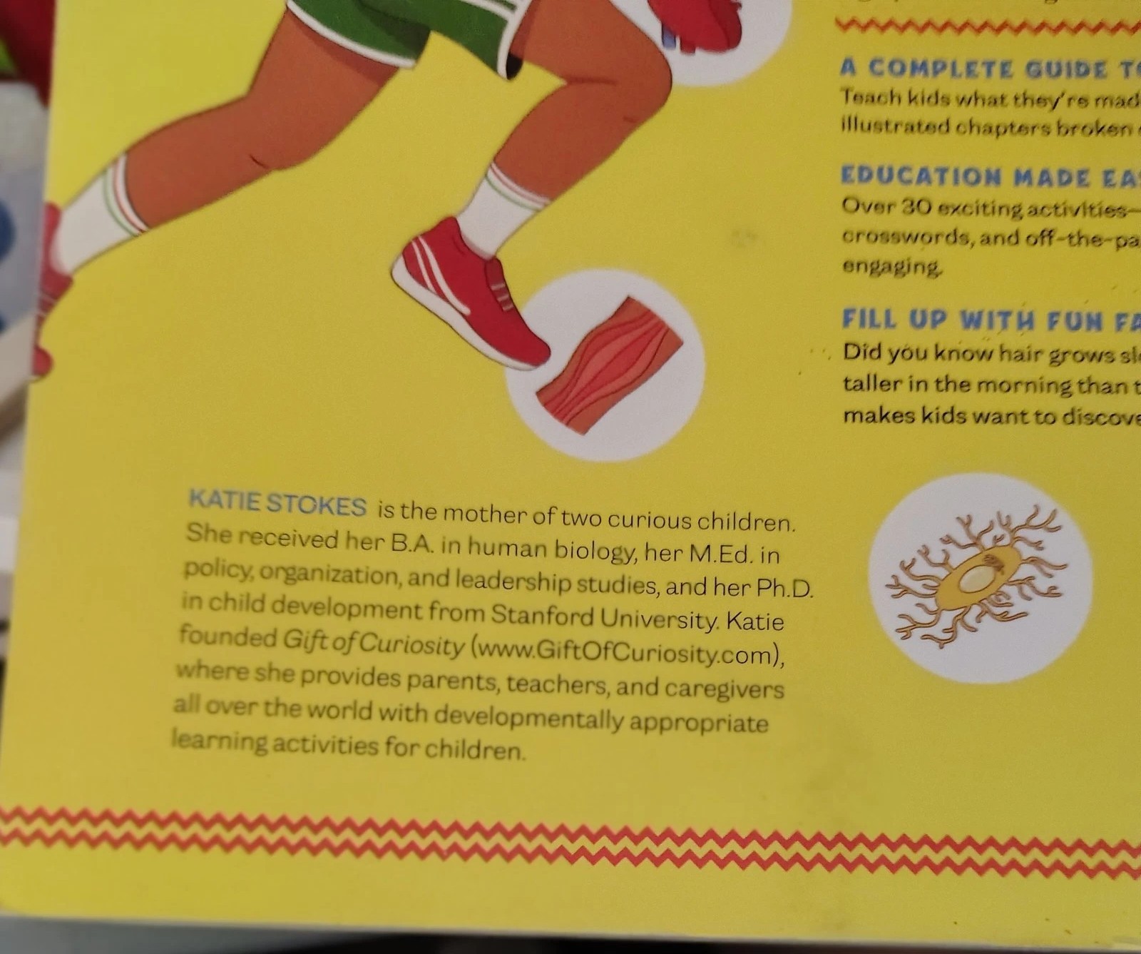 Human Body Activity Book for Kids : Hands-On Fun for Grades K-3 by Katie Stokes