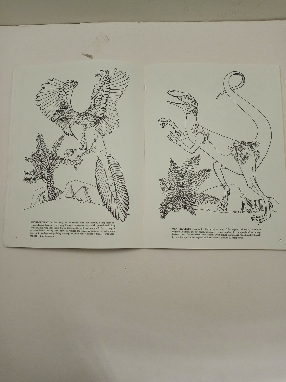 Vintage The Dinosaur Coloring Book by Anthony Rao Dover Publishing 46 Pgs 1980.