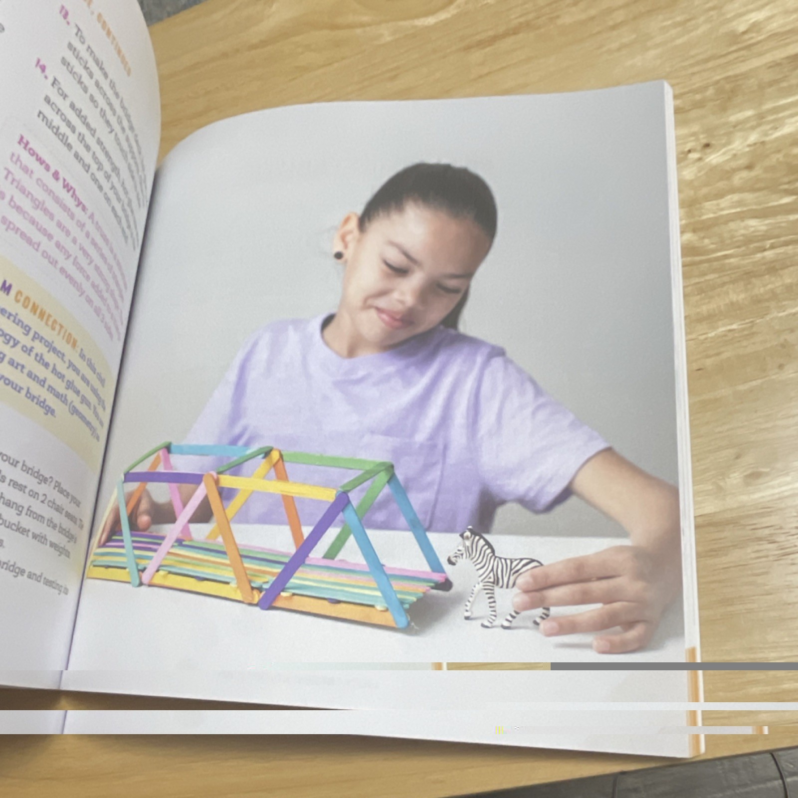 Awesome Engineering Activities for Kids Schul Rockridge Press PB