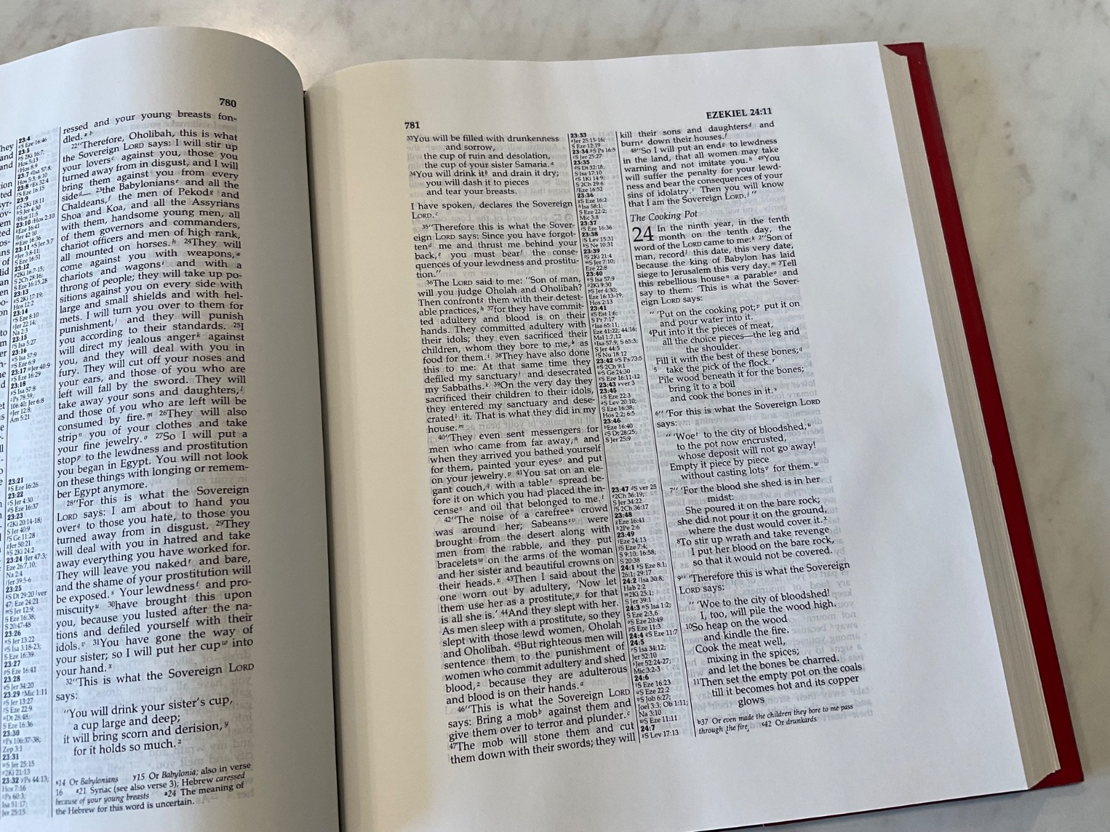 NIV Wide Margin Reference Bible Cambridge Hardcover Text 1984