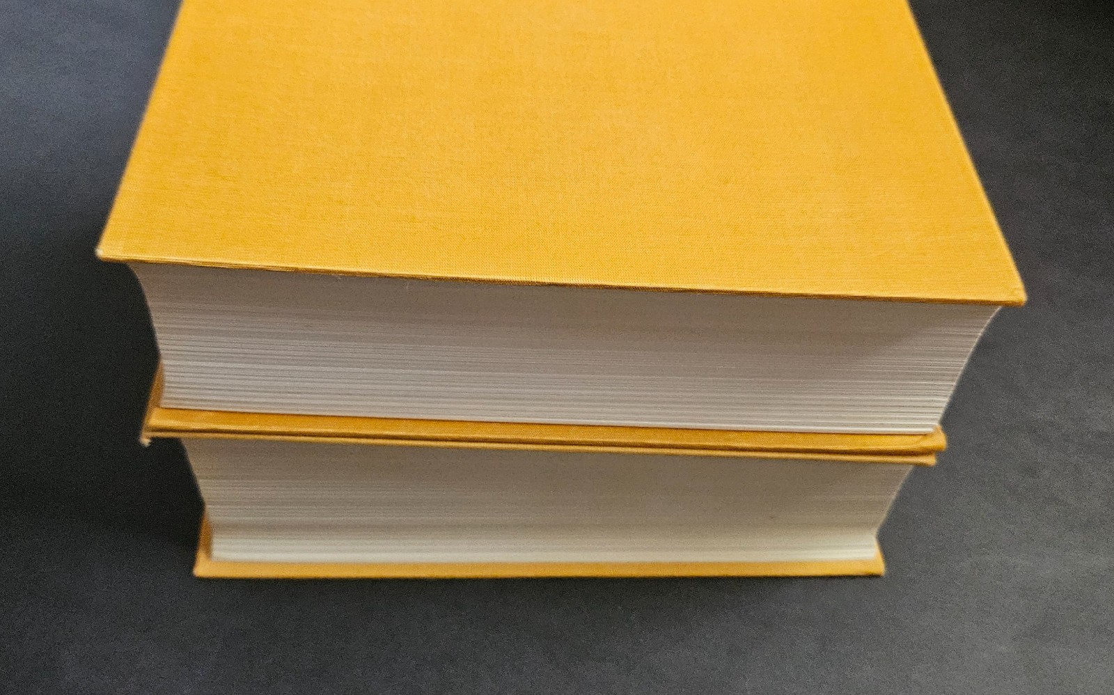 Słownik Angielsko-Polski /English-Polish Dictionary 2 Book Set