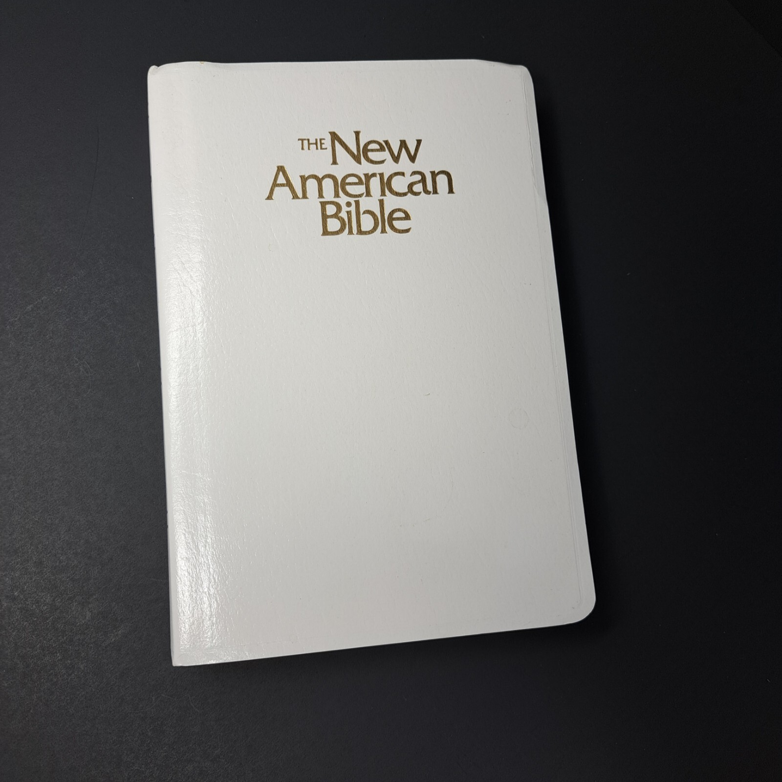 New American Bible Official Catholic Red Letter Ed World Press 2404W No Writing