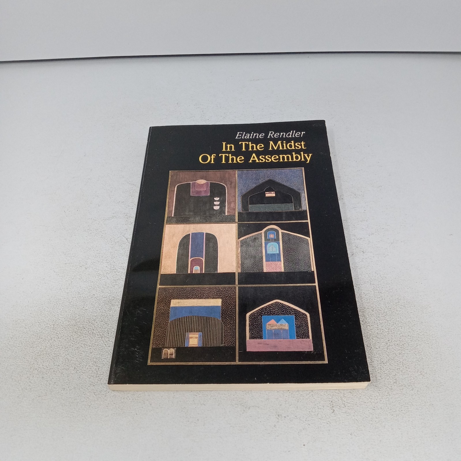 In the Midst of the Assembly: 1994 OCP Publications Paperback by Elaine Rendler