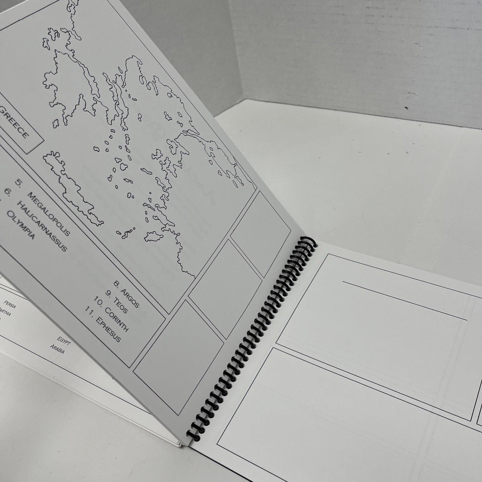 Ancient History Portfolio & Timeline Shukin