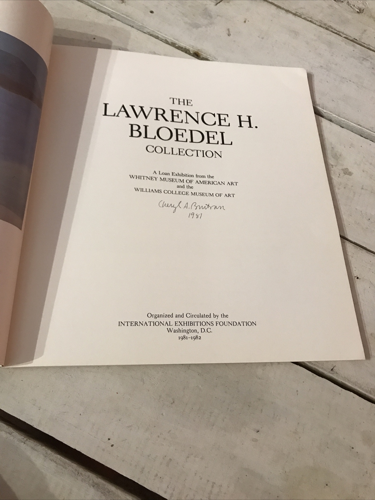 Lawrence H Bloedel Collection Rick Stewart Art Collection Paperback