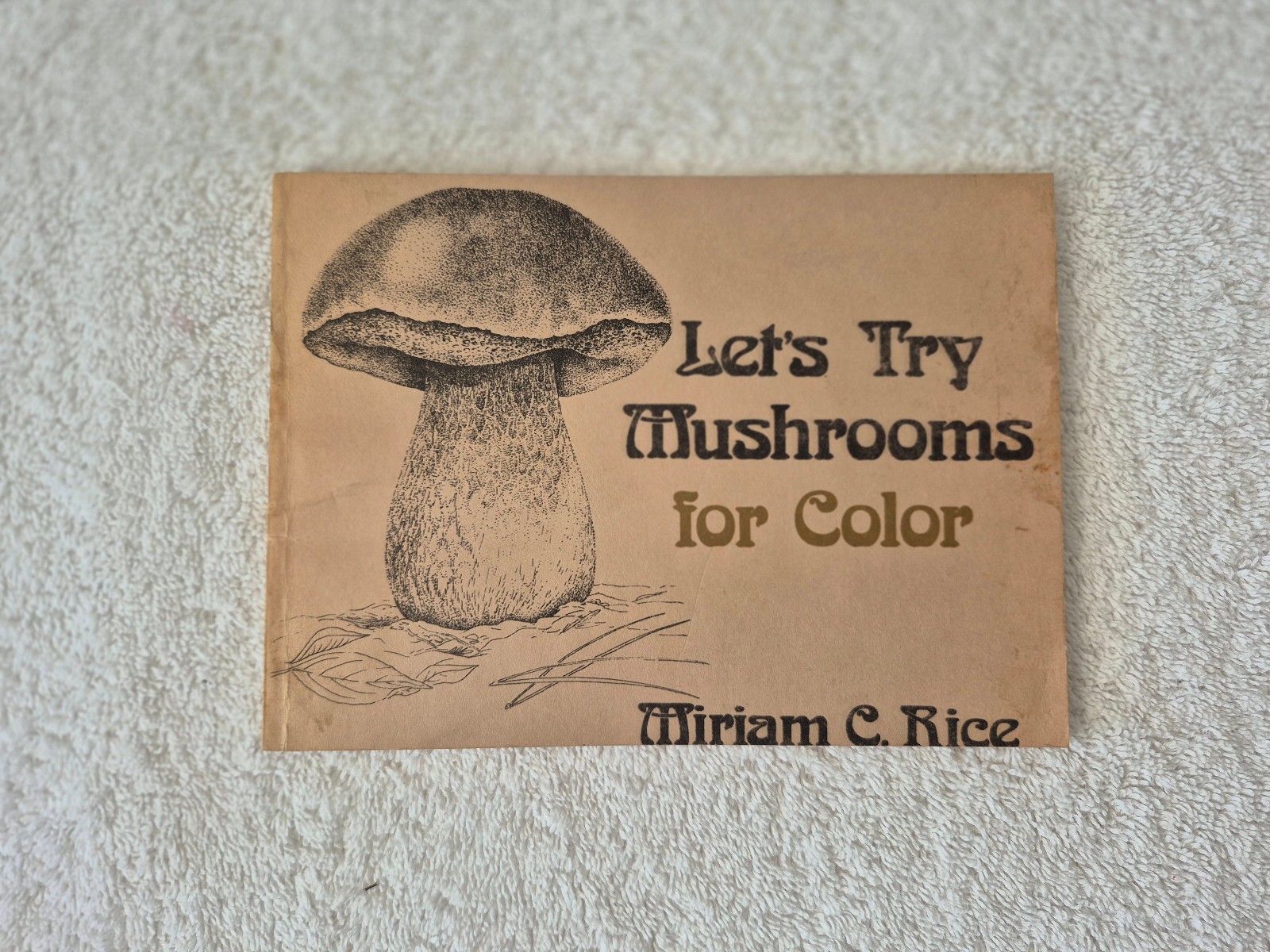 Rare Hard to find – Let’s Try Mushrooms for Color – Miriam C. Rice