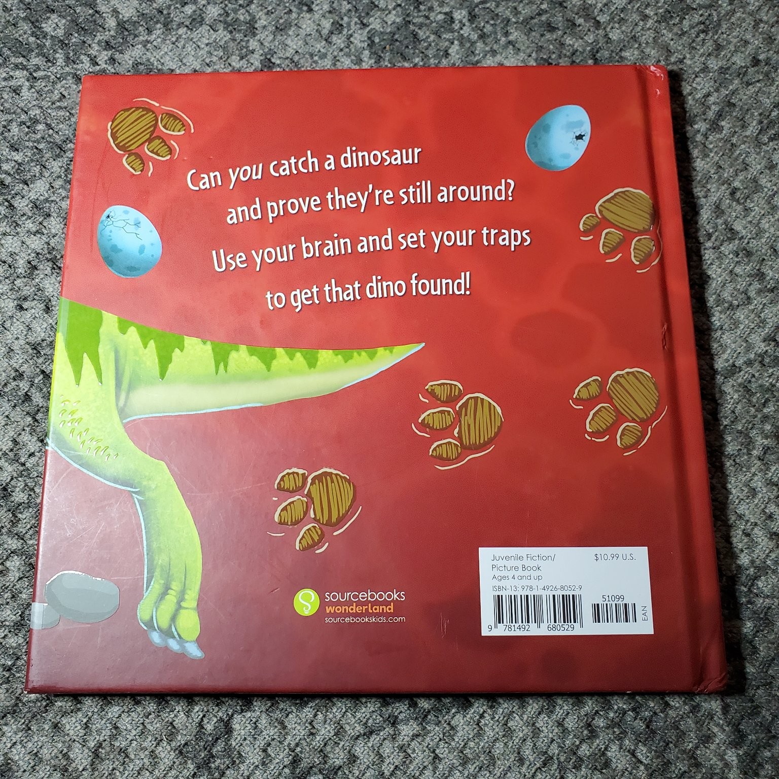 How to Catch a Dinosaur Adam Wallace 2018 Illustrated Kids Book Hardcover