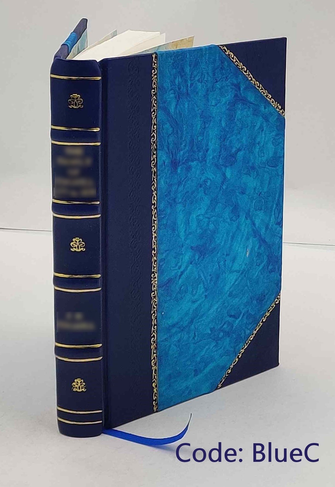 Einleitung in die Religionswissenschaft 1899 by Cornelis Petrus [Leather Bound]