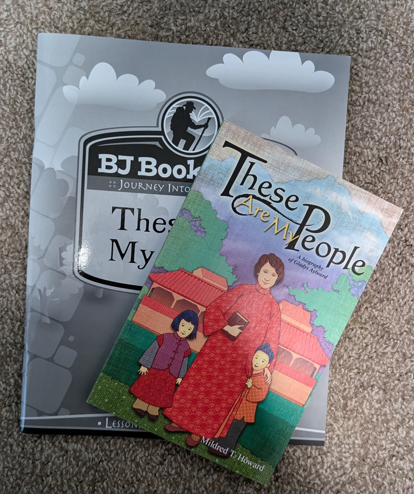 Reading 3 BJ BookLinks : These Are My People Set 3rd Grade Reading