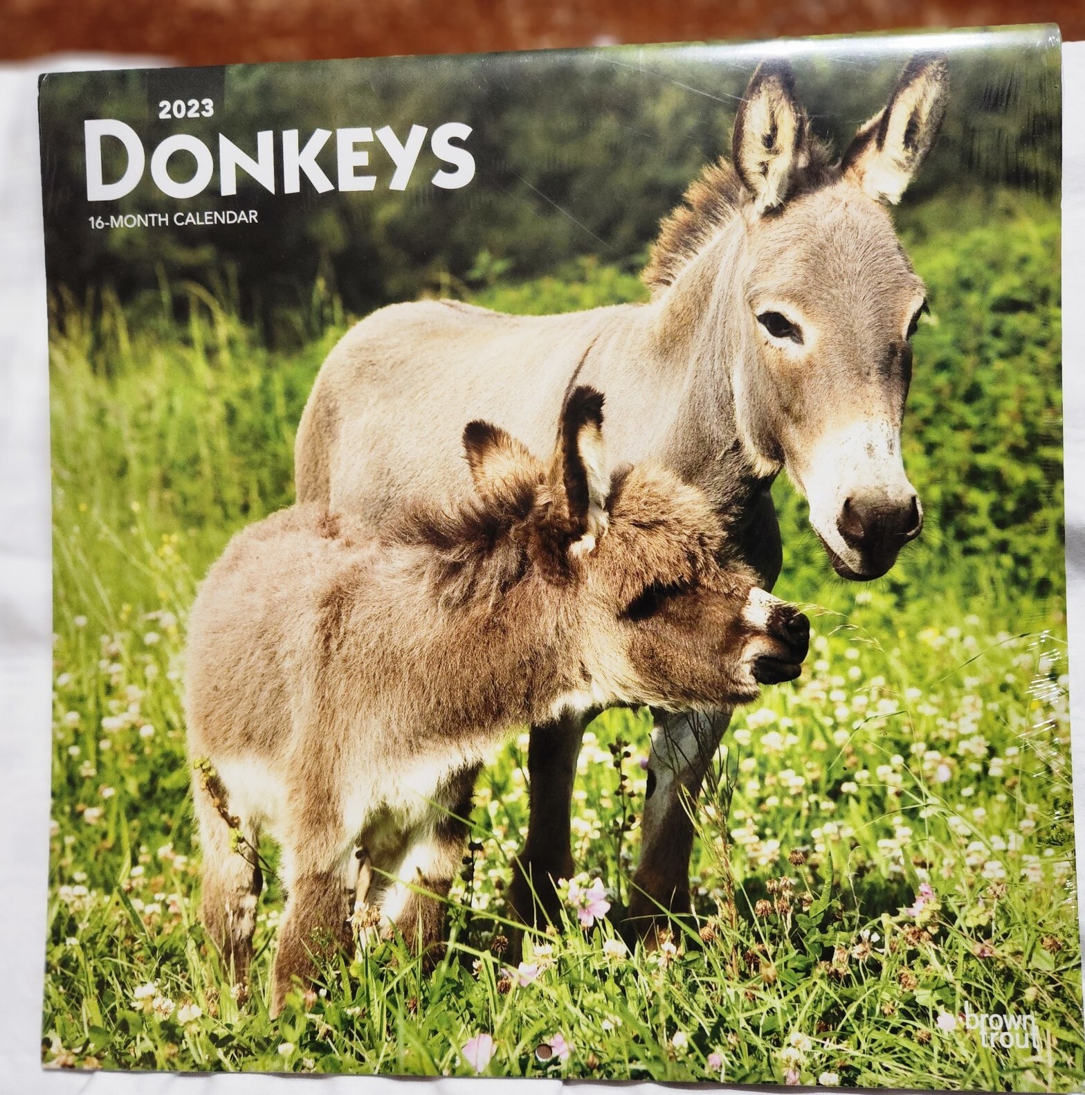 BROWN TROUT, DONKEY’S 2023 SQUARE WALL CALENDAR NEW FARM ANIMAL