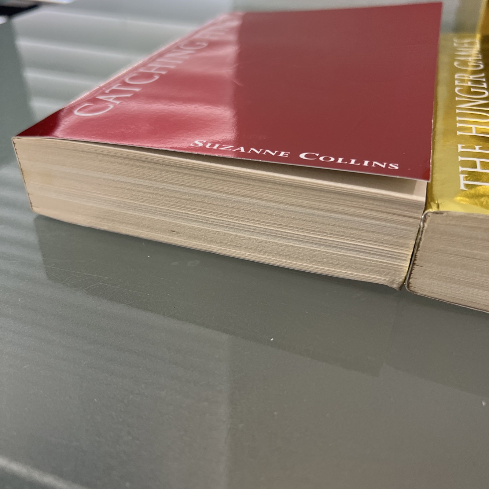The Hunger Games Foil Edition By Suzanne Collin’s