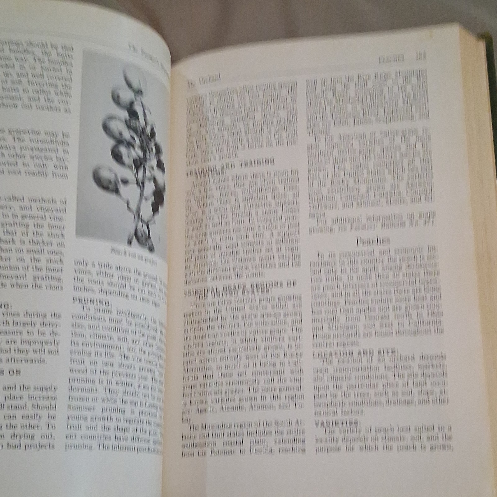 John White’s The Farmers Handbook Revised Edition 1952 Illustrated Hardcover