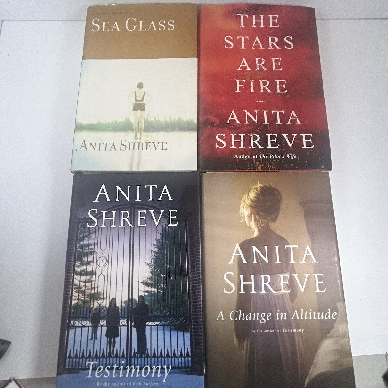 Anita Shreve Novels Fiction Lot of 21 Novels 8 Hardcover 11 Paperbacks