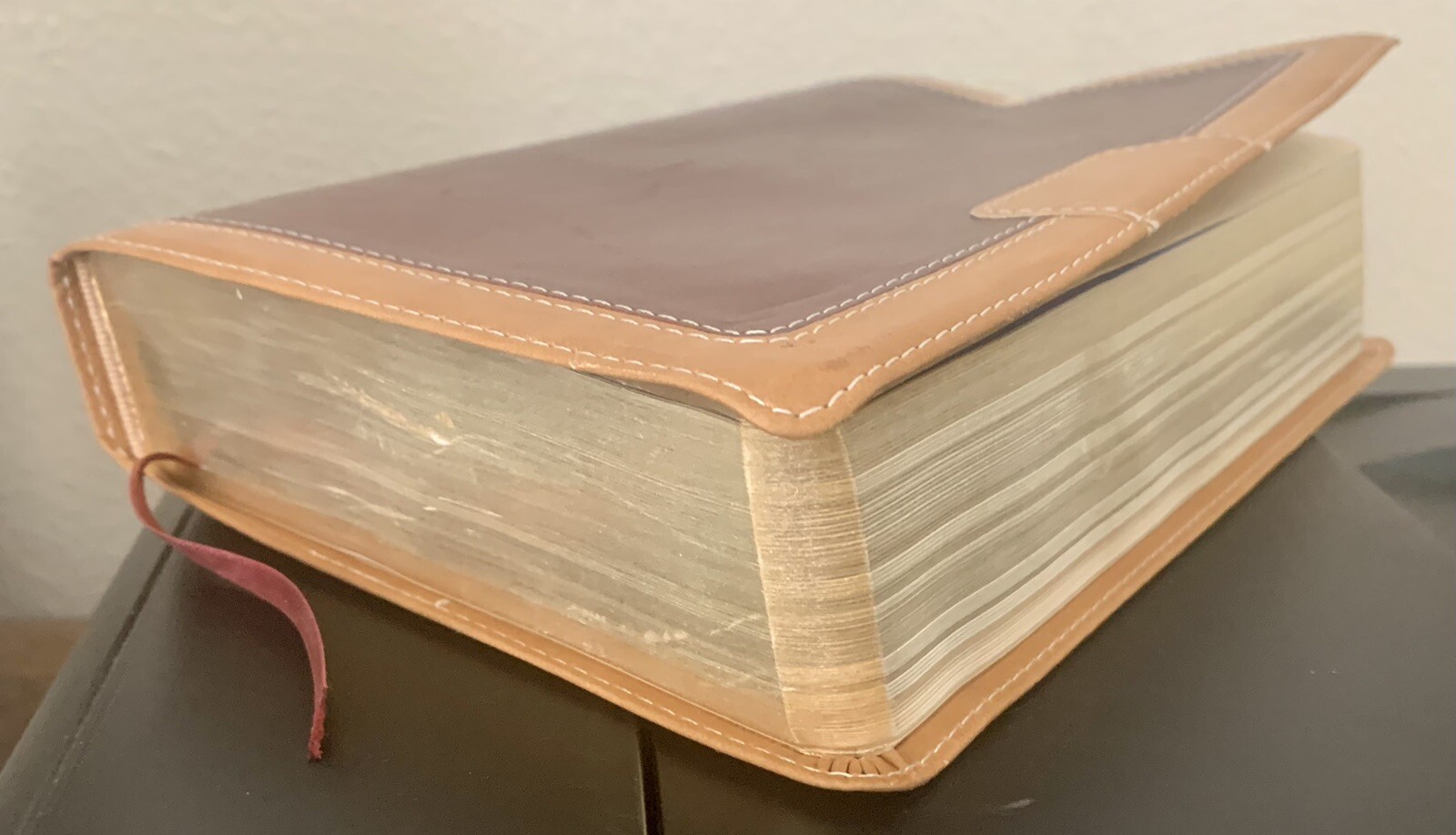 Zondervan NIV Study Bible Personal Size – Rich Red / Camel Duotone