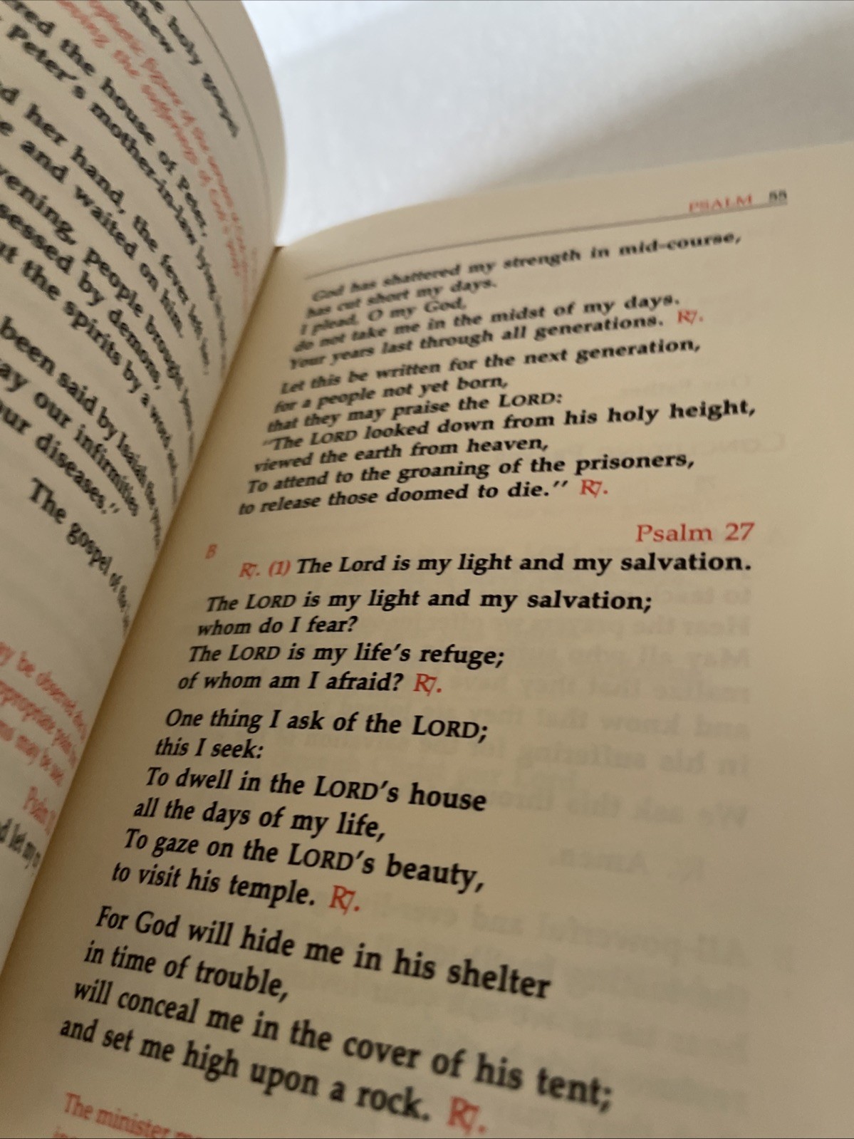 A Ritual for Laypersons : Rites for Holy Communion Care Sick & Dying Catholic