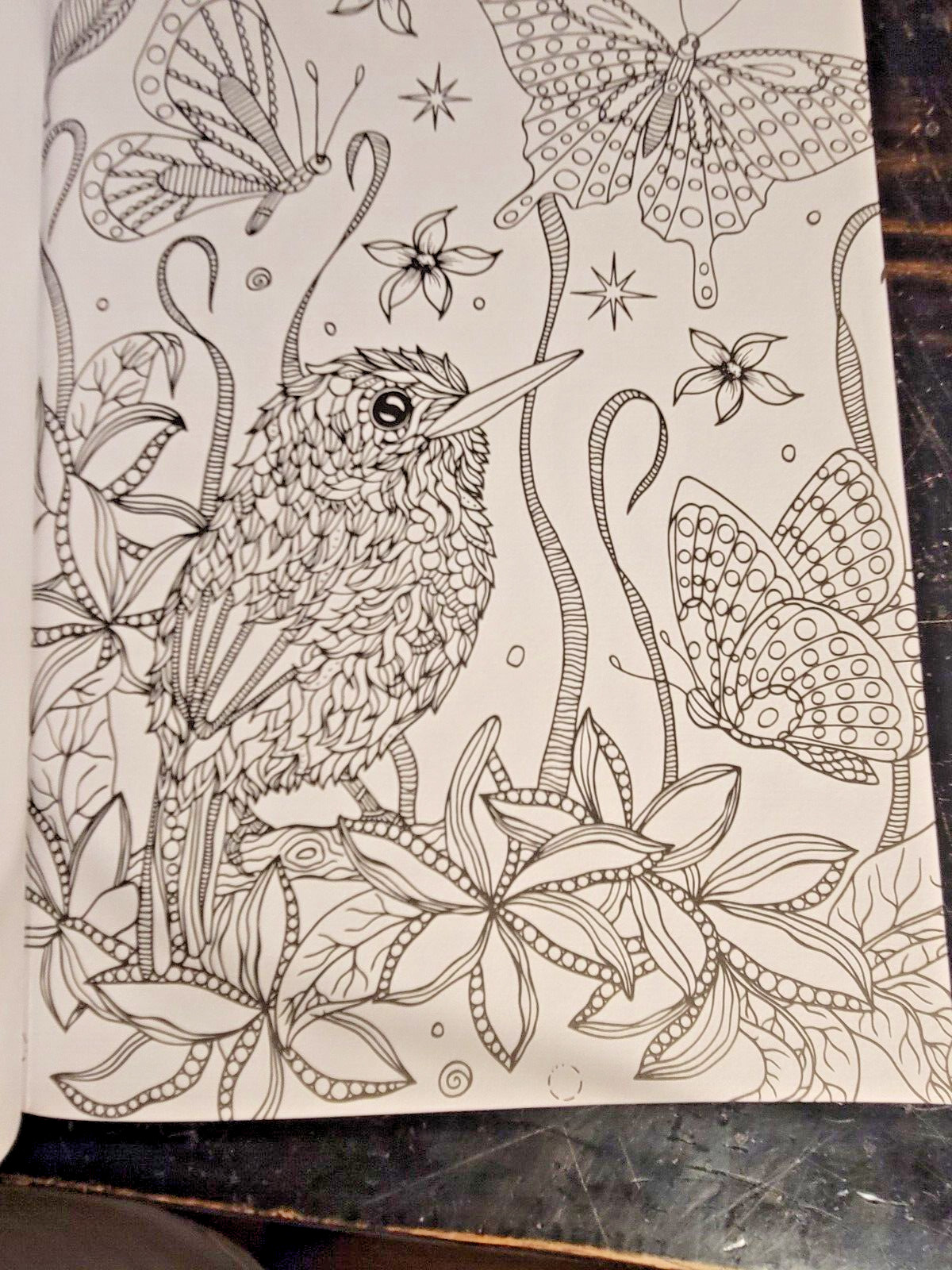 COLORS OF THE WILD! Vol. 18 Adult Coloring Book With 47 Prints Ready To Frame!