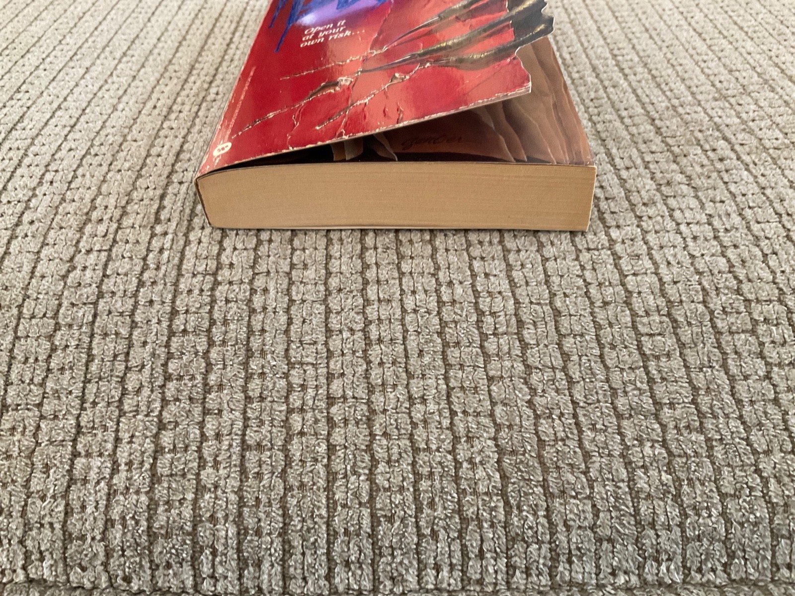 Fear Book – John L Byrne First Edition 1st Print 1988 Paperback Warner 34814-7