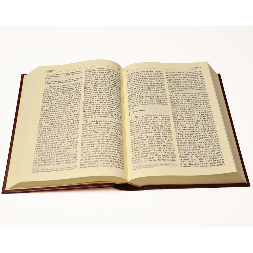 Ukrainian Bible – Біблія Святе Письмо Хоменко Червона Палітурка 15.5 х 21 cm