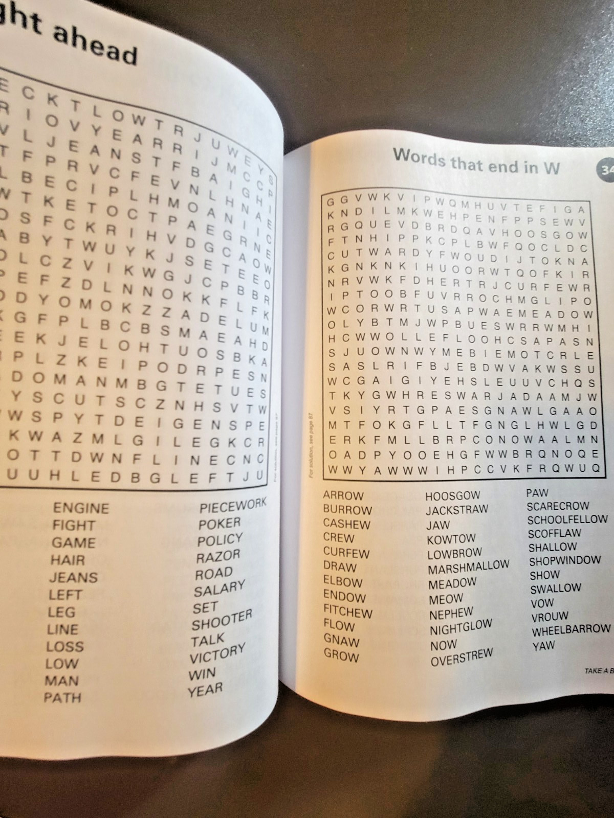 Variety Puzzles by Take-A-Break – Adult Activity Book – 100+ Large Print Puzzles