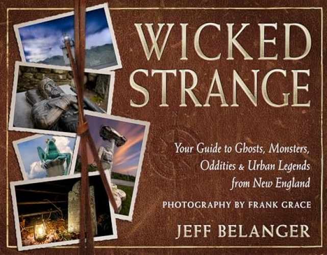 Wicked Strange: Your Guide to Ghosts, – Paperback, by Belanger Jeff – Acceptable