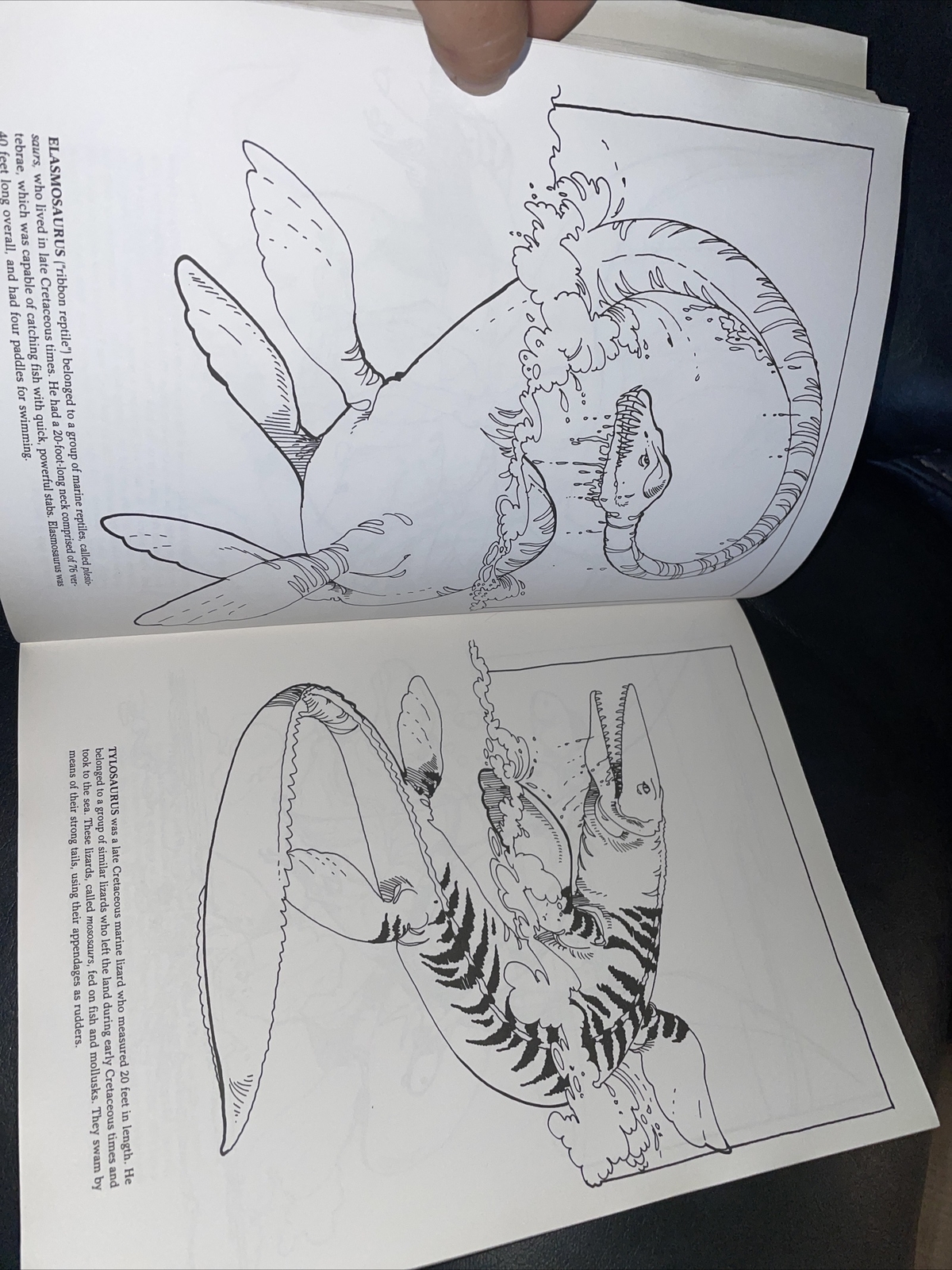 Dinosaur Coloring Book (Dover Nature Coloring Book) by Anthony Rao 90% Uncolored