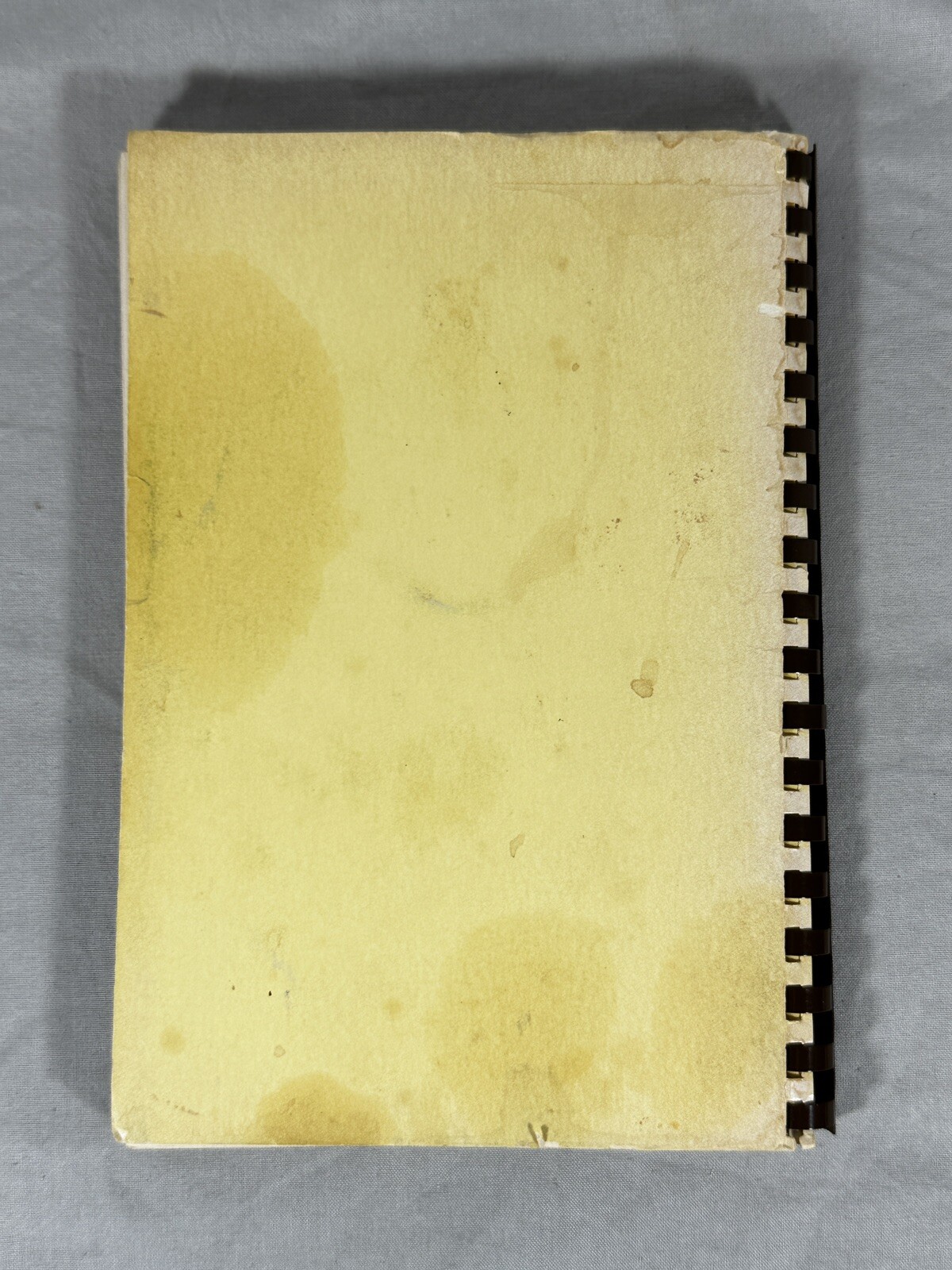 1981 Order of Eastern Star Chapter #397 Spiral Recipe Book Pomegranate Cookery