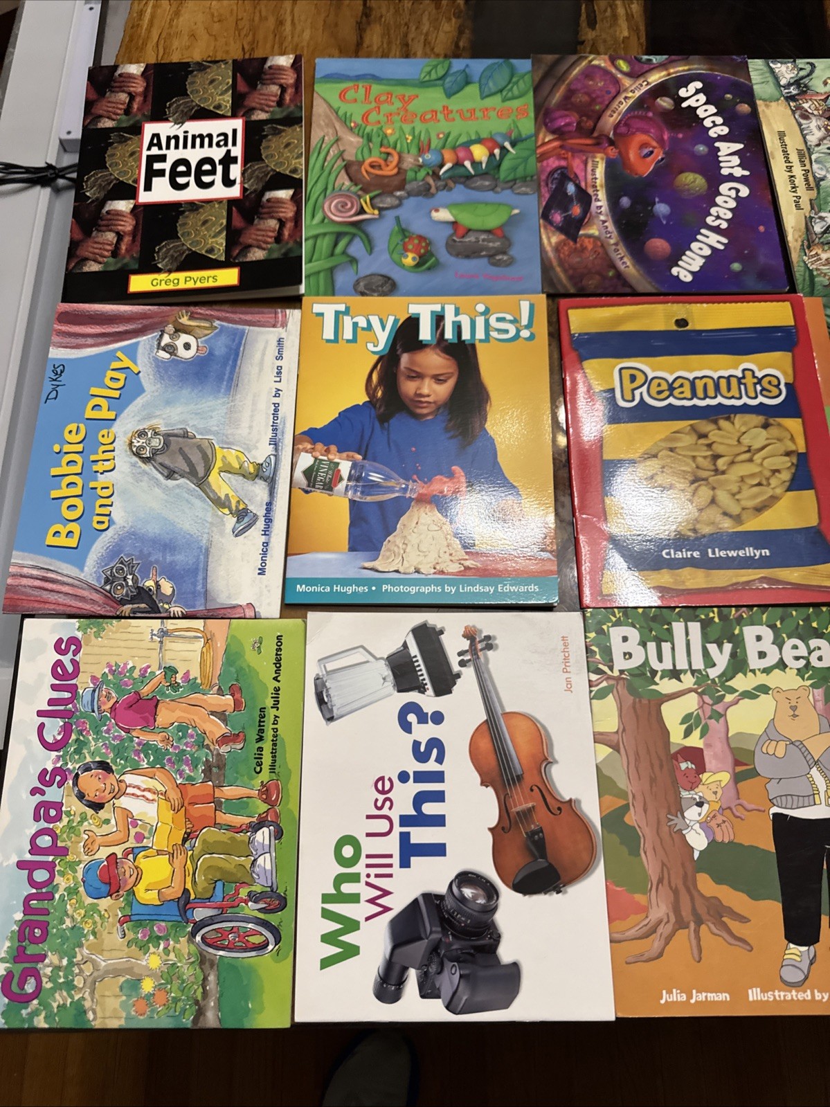Lot of 14 Rigby Literacy Levels 8-9 Readers-Homeschool