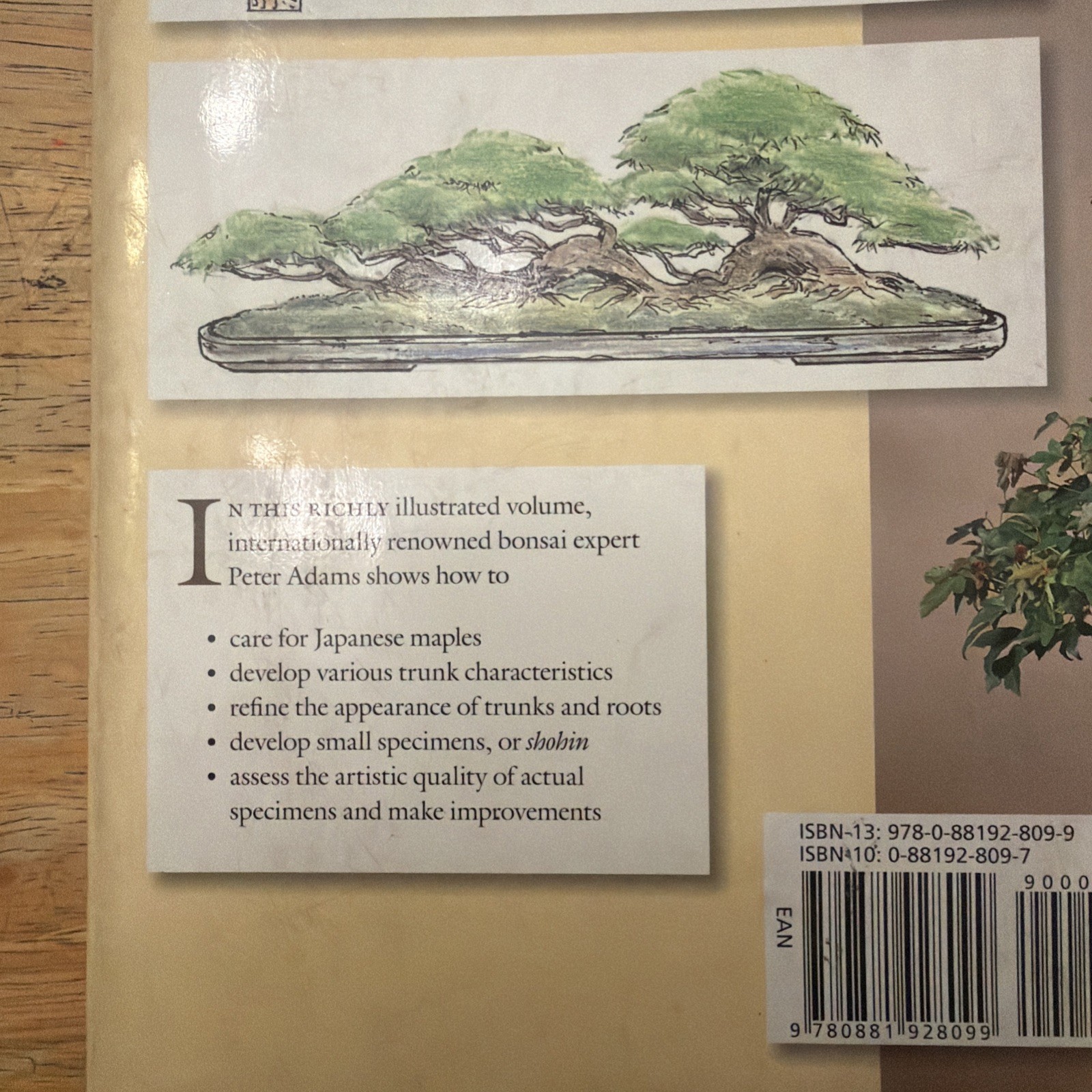 BONSAI WITH JAPANESE MAPLES By Peter Adams – Hardcover , Highlighting 10 Pages