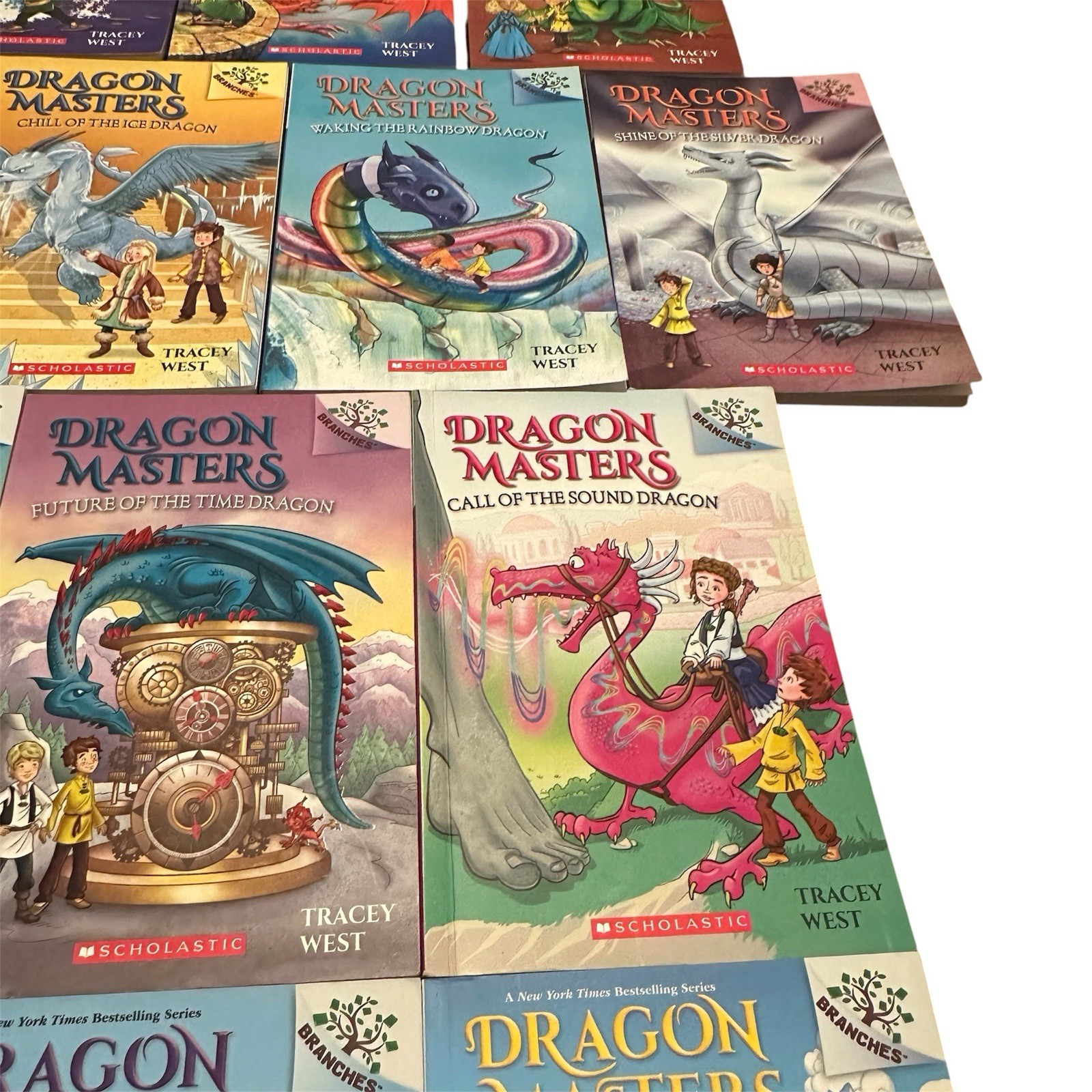 Dragon Masters Books 1–21 Book Lot Tracy West Scholastic PB Set