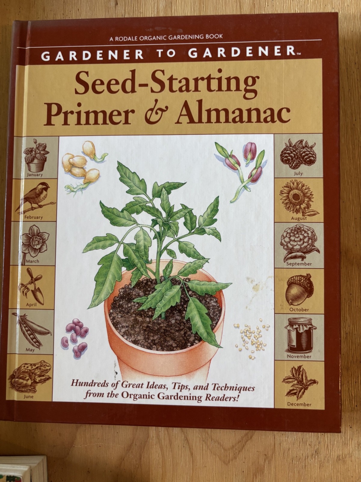 Lot of 10 Gardening Books – Including Sustainable, Container, Patio, & More
