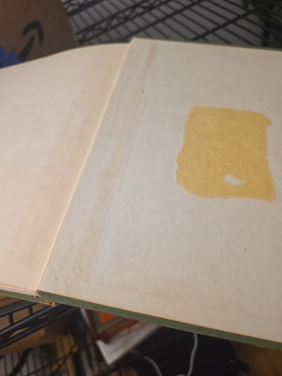 Wildflower Portraits Eloise Reid Thompson Univ of Oklahoma 1964 HB VG Book Plant