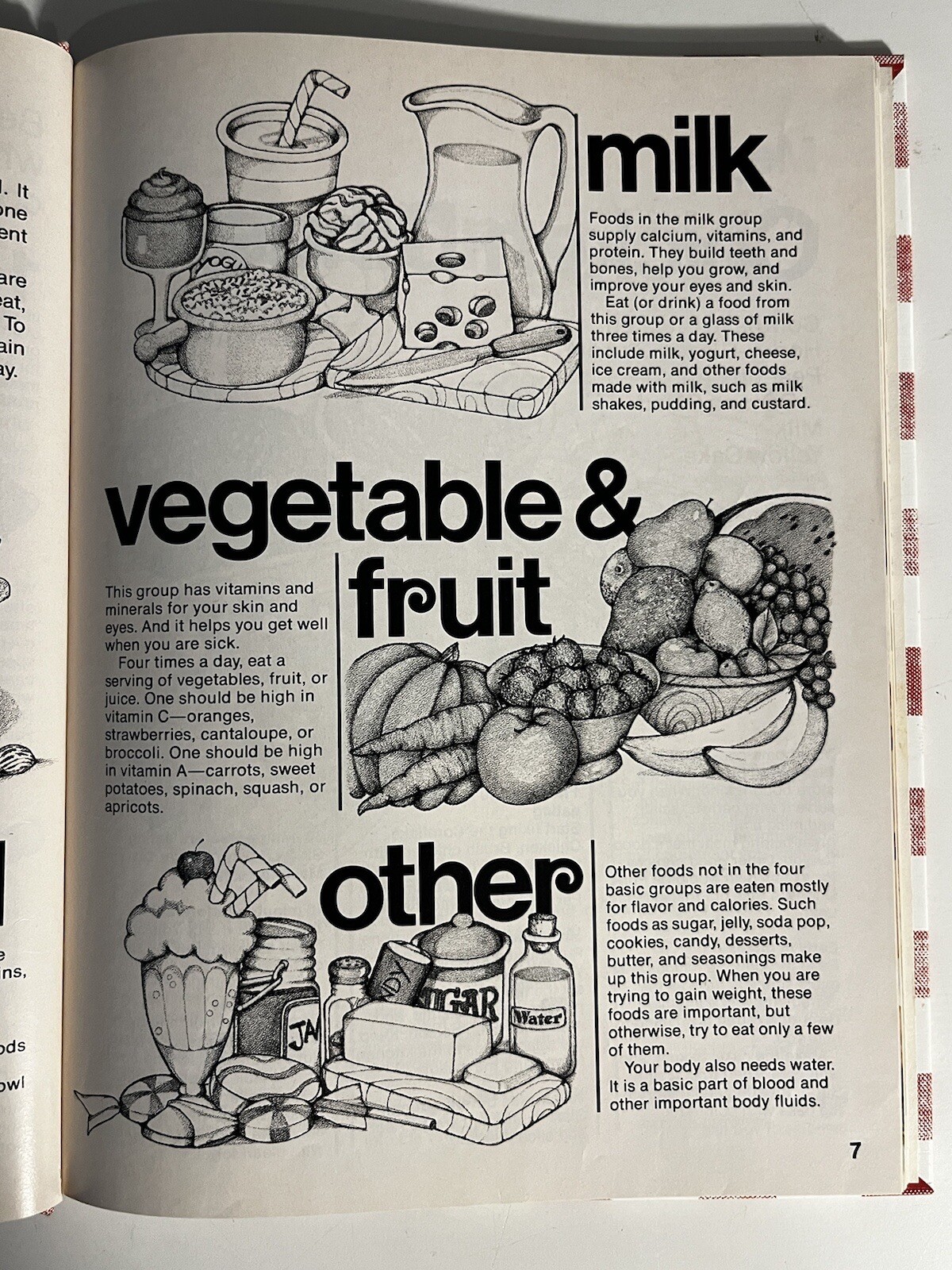 New Junior Cook Book Better Homes and Gardens Meredith Corp Vintage Cookbook