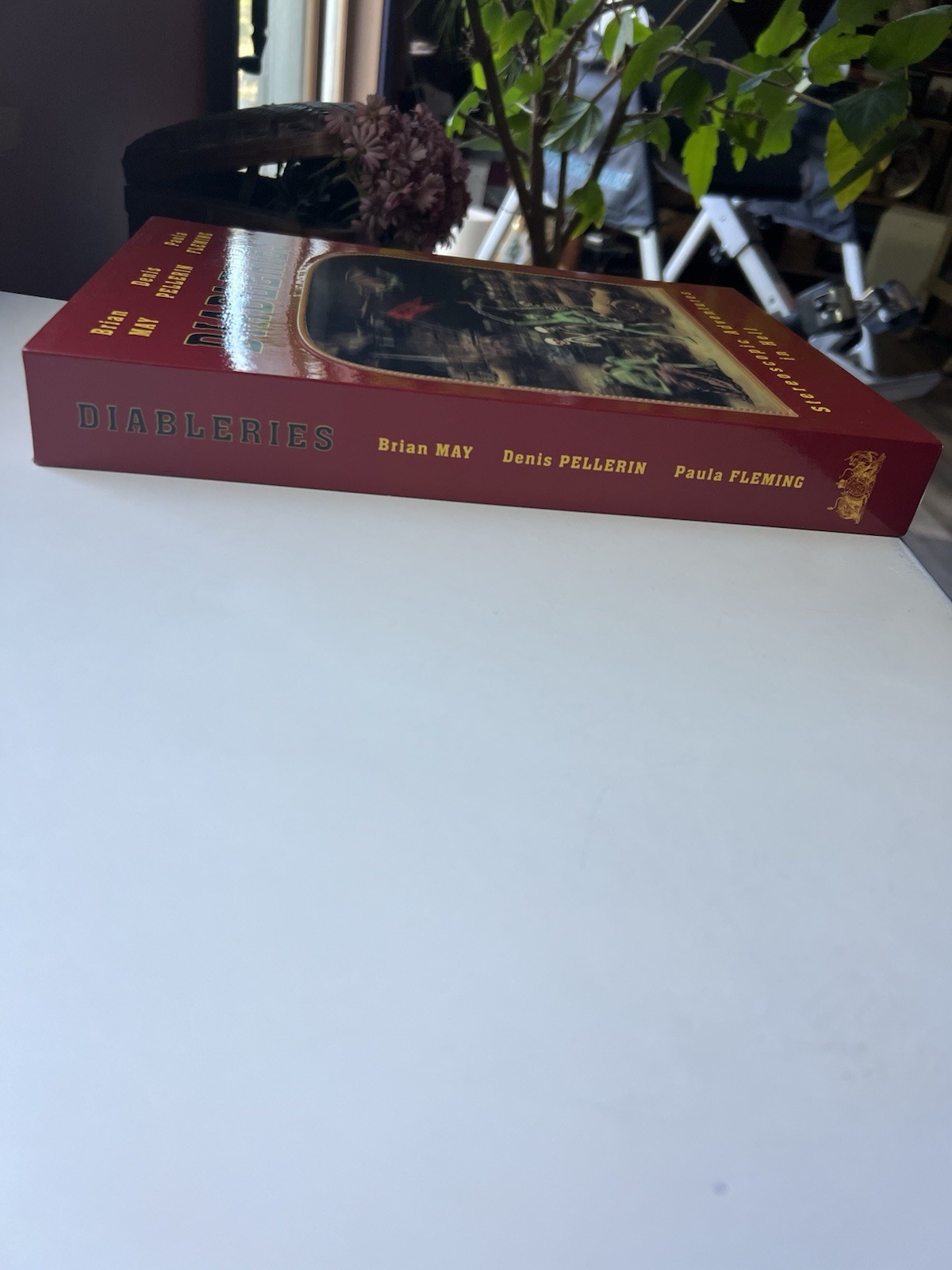 Diableries Stereoscopic Adventures in Hell Brian May Denis Pellerin Fleming HC