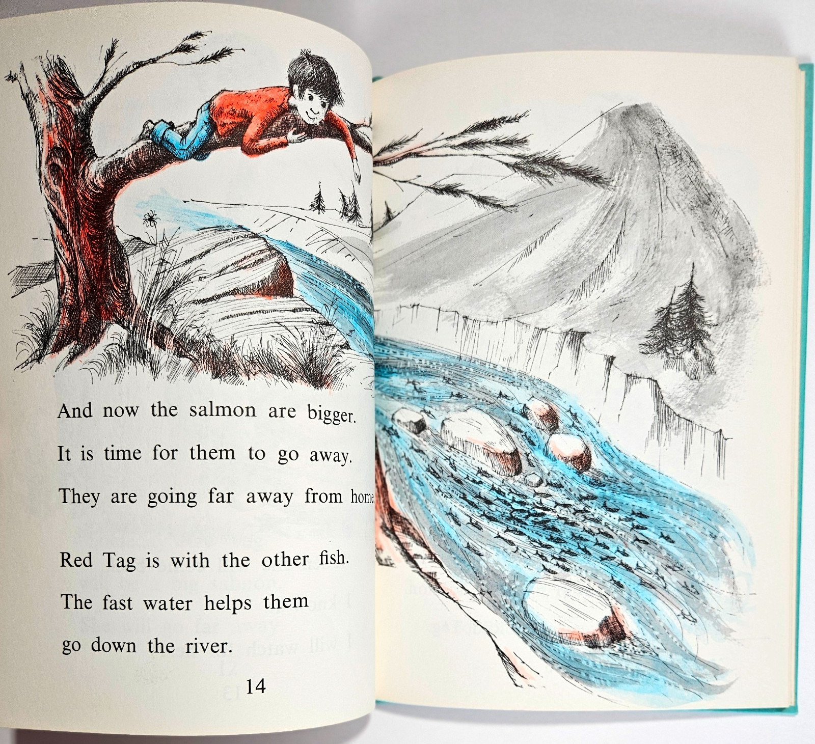 Seeds and More Seeds Millicent Selsam AND Red Tag Comes Back 2 Hardcovers 1959