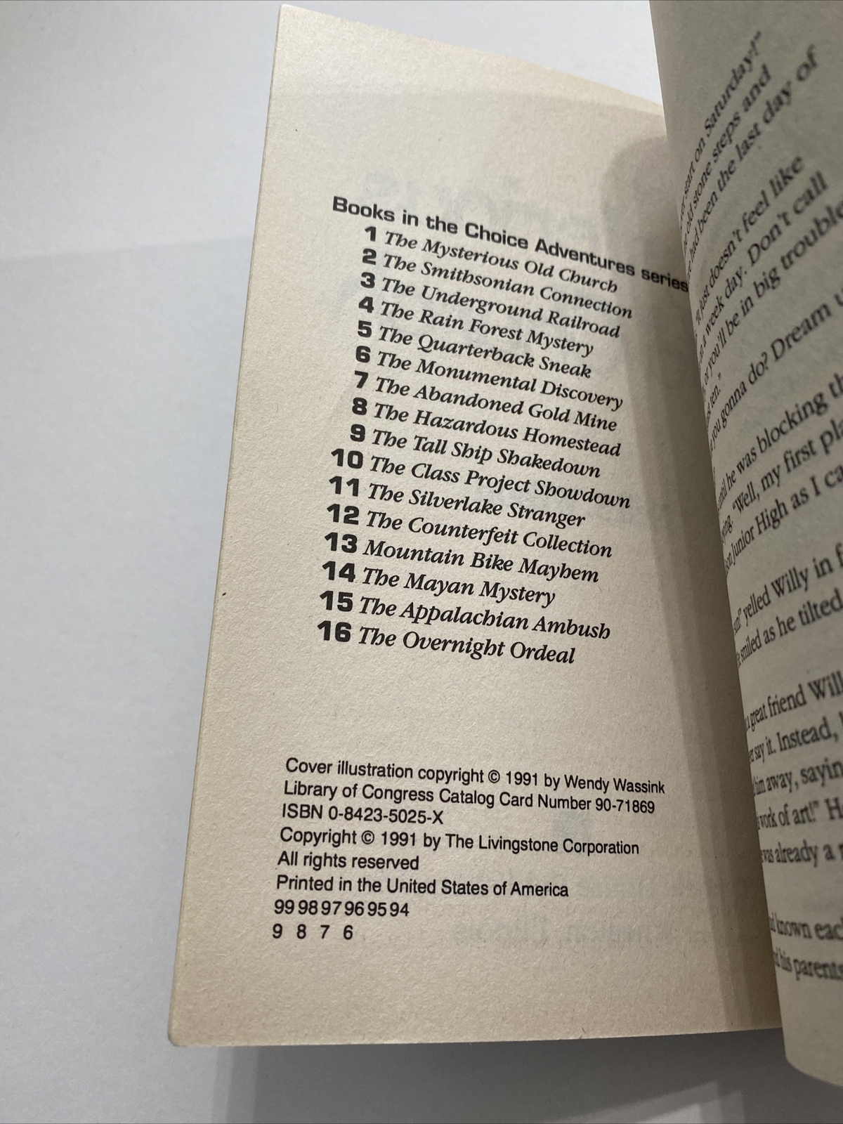 The Mysterious Old Church (Choice Adventures Series #1) by Neil S. Wilson 1991