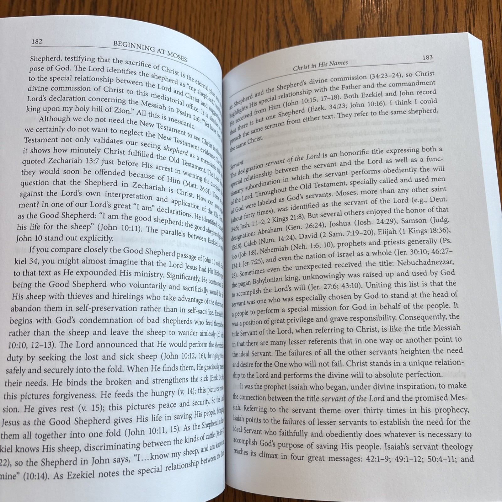 Beginning At Moses By Michael P. V. Barrett PB