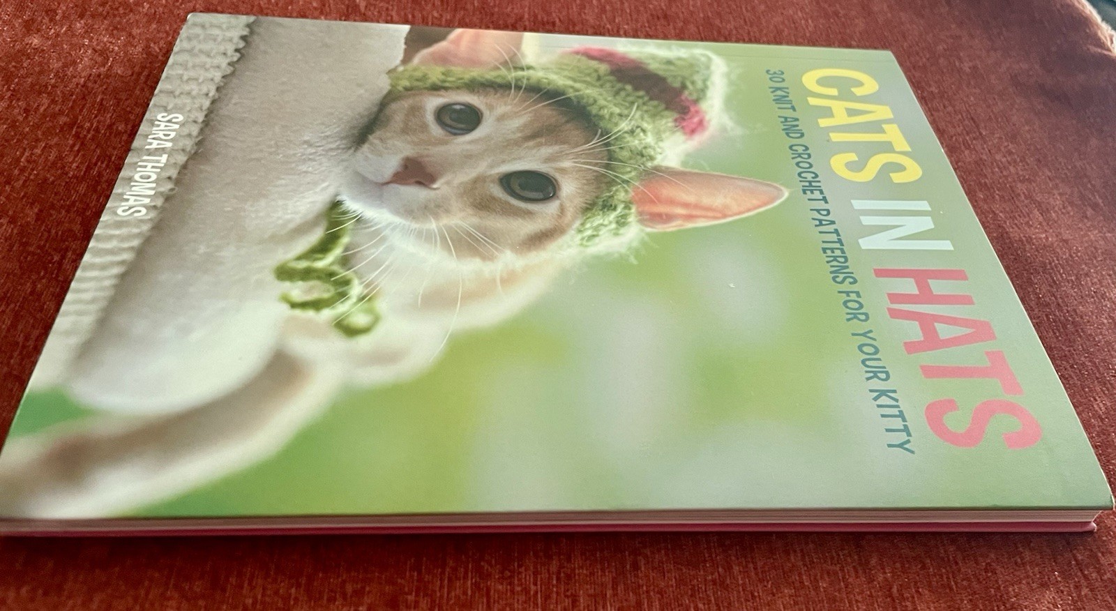 Cats in Hats: 30 Knit & Crochet Patterns for Your Kitty- Sara Thomas EUC PB 2015